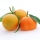 Парфюмерная композиция аромата Les Contes 13E Fee открывается начальными нотами мандарина в сочетании с красными фруктами