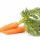  Морковь