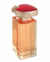 Yves Saint Laurent Vice Versa