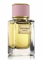 Dolce Gabbana Velvet Love